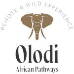 Olodi African Pathways Profile Picture