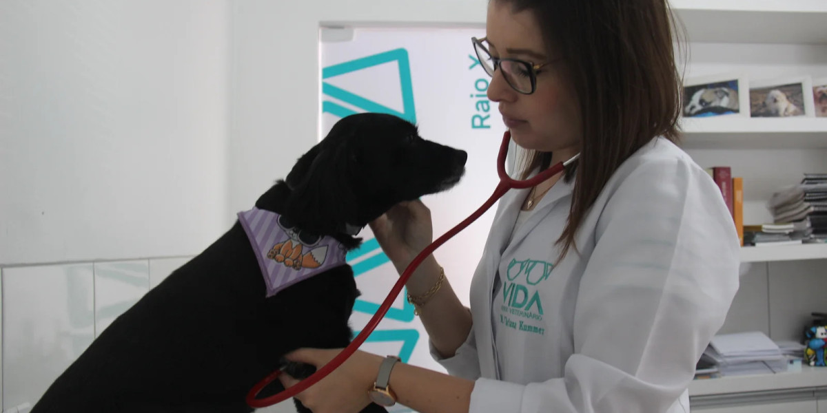 Ultrassom Veterinário: Transformando Diagnósticos com Precisão e Segurança