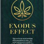 Exodus Effect Profile Picture