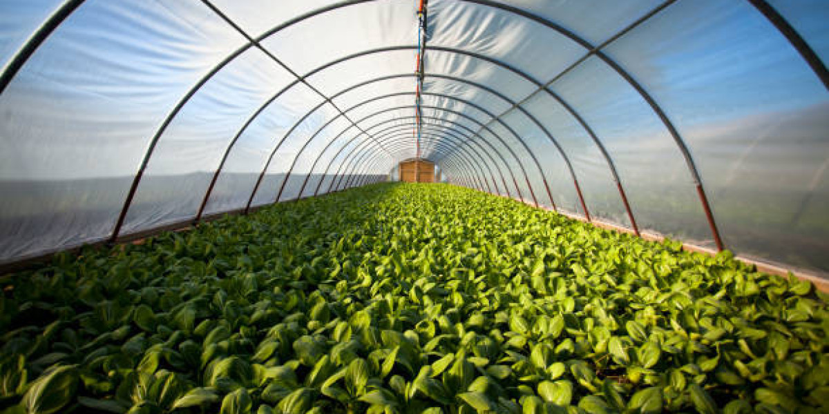 Crop Protection Market Growth, Share, Trends Analysis, Business Opportunities and Forecast 2025: Markntel Advisors