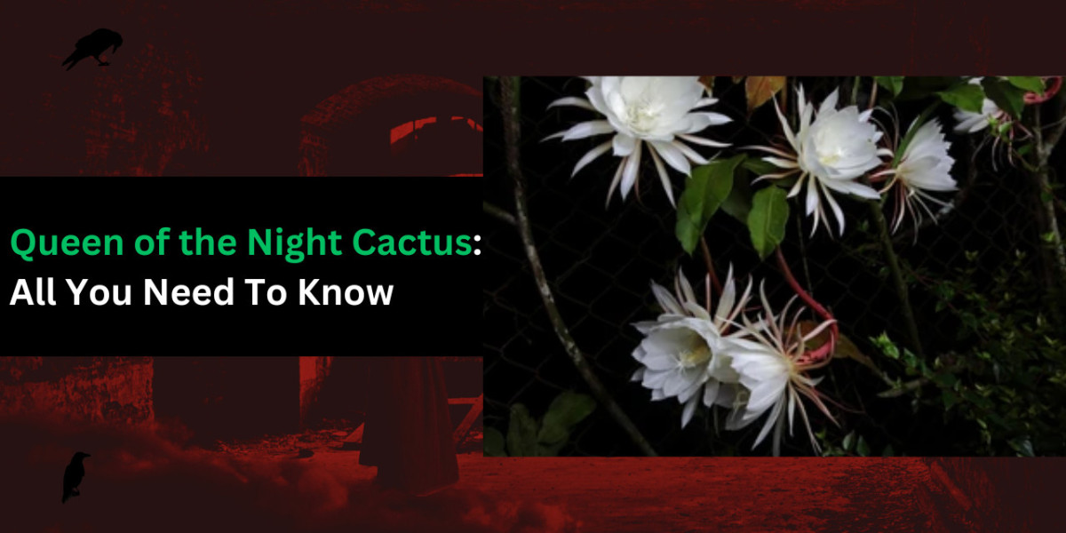 Queen of the Night Cactus: All You Need To Know