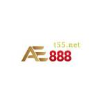 AE888 t55 Profile Picture