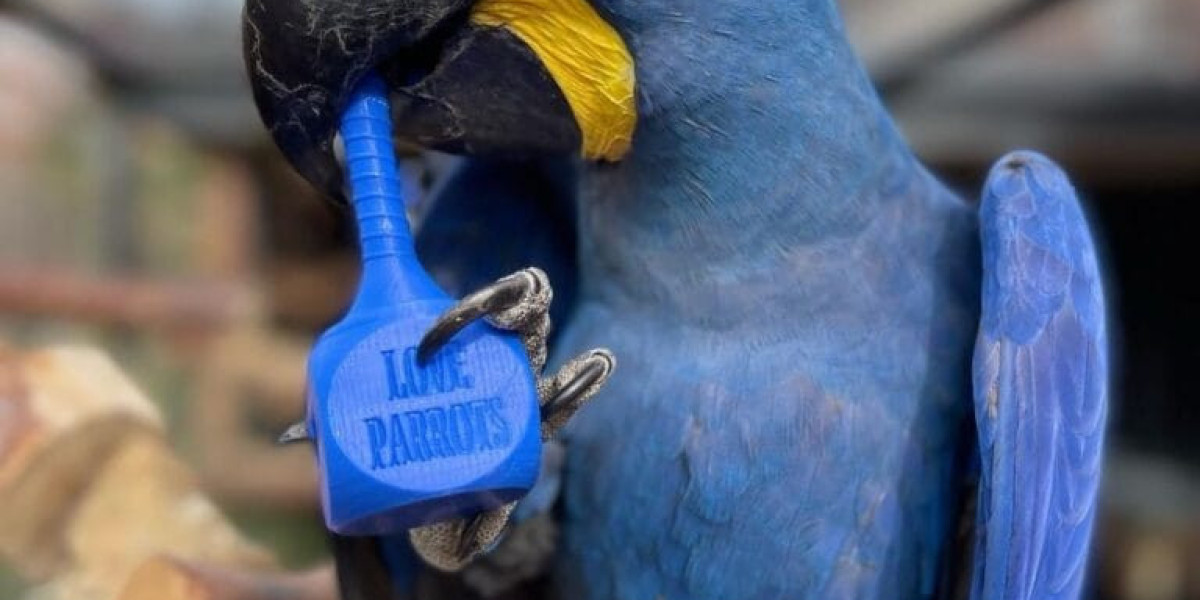 What's The Job Market For Cleo Female Macaws For Sale Professionals Like?