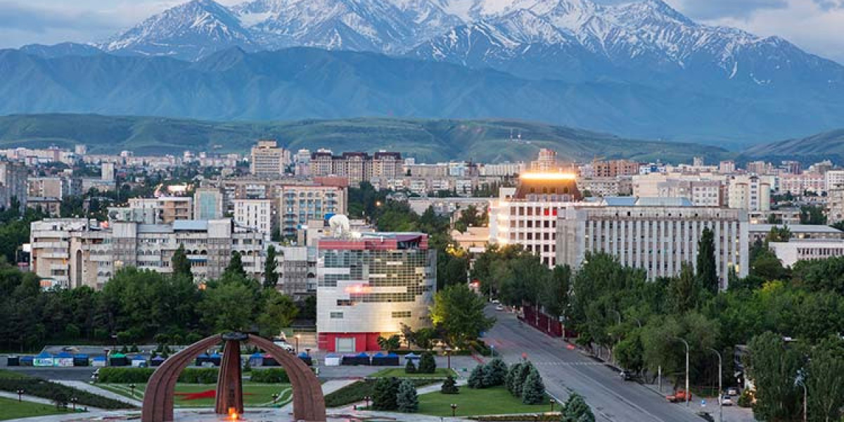 Study MBBS in Kyrgyzstan 2025-26: A Comprehensive Guide