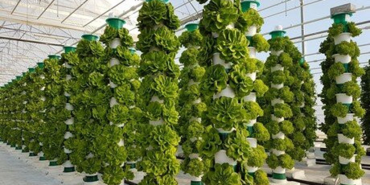 Why Hydroponic Tower Gardens Are the Future of Home Gardening