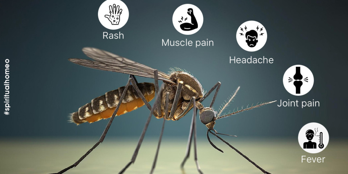 "Chikungunya Awareness: Protecting Yourself from the Virus"