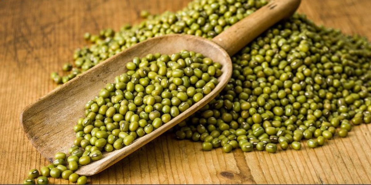 Mung Beans Market (2025-2034): Dynamics, Trends, and Growth Opportunities