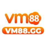 VM 88 profile picture