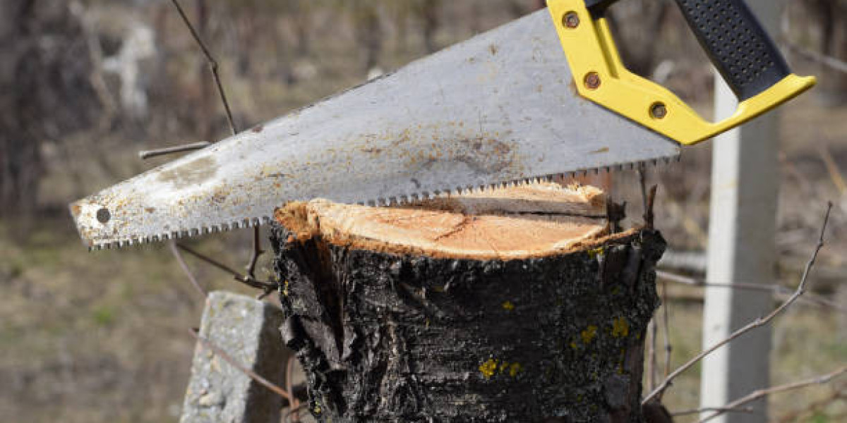 Affordable Tree Cutting Services: Quality Work on a Budget