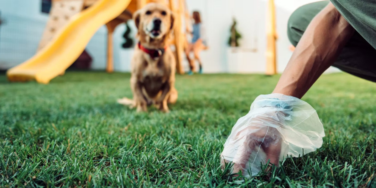 Keeping Your Yard Clean with Professional Pet Waste Removal