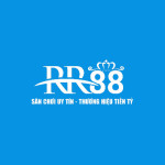 rr888art Profile Picture