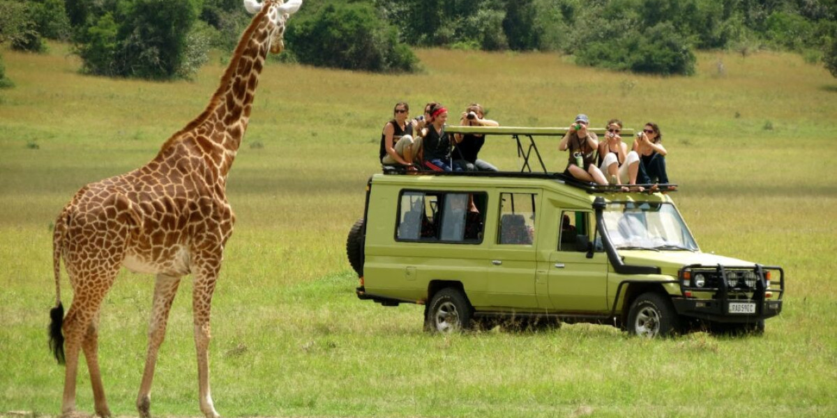 A Complete Guide to Planning the Perfect Family Safari in Africa