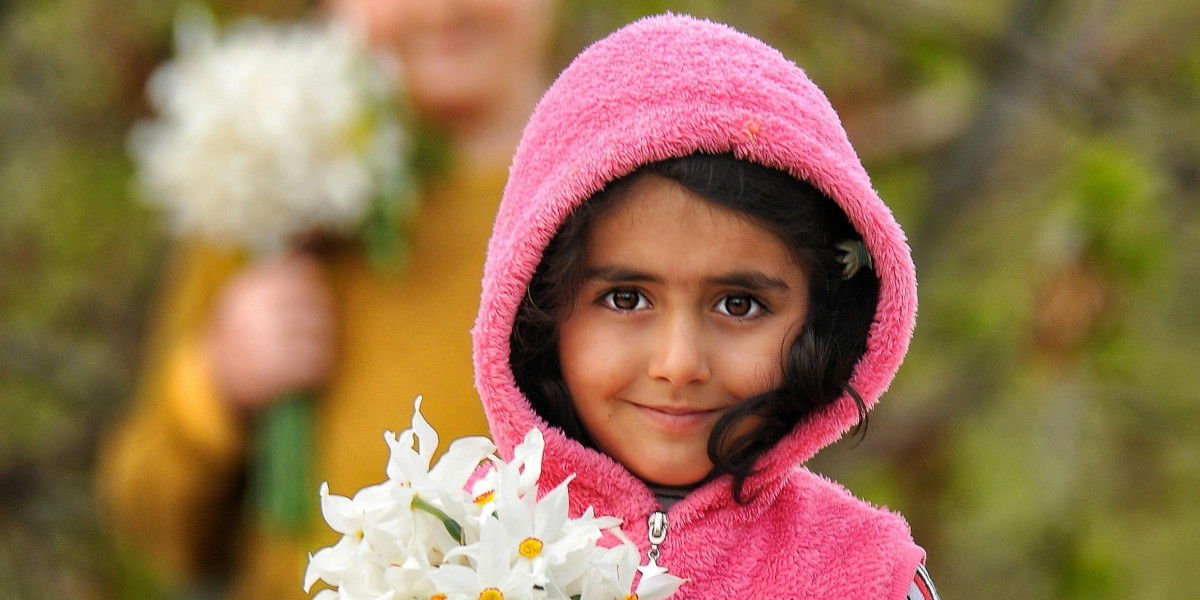 Tulip Garden in Srinagar Kashmir 2025