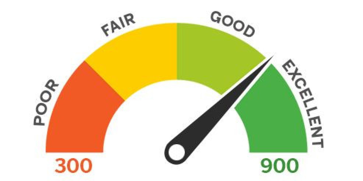 What to do if you find errors in your CIBIL report after checking your score