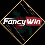 FancyWin tech Profile Picture