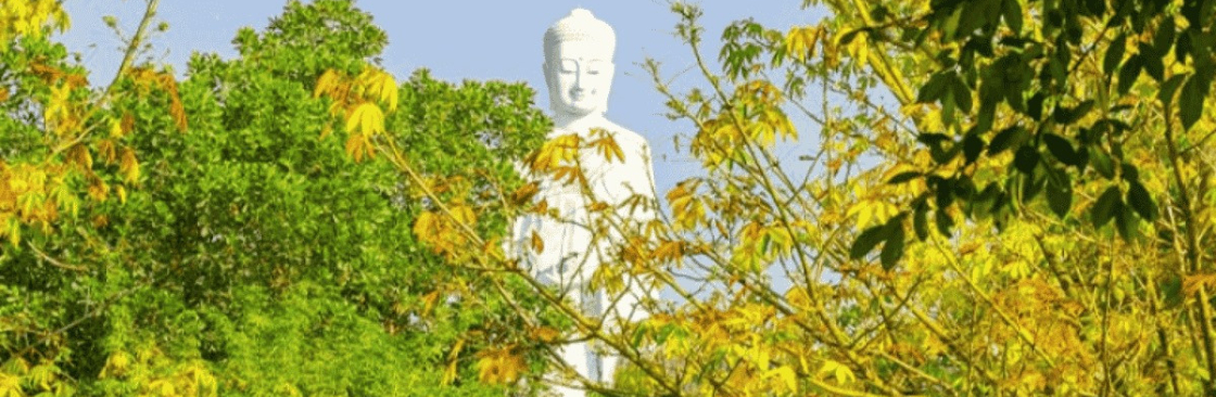 Tỷ Lệ Kèo Cover Image