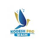 Kodesh Pro-Wash Profile Picture