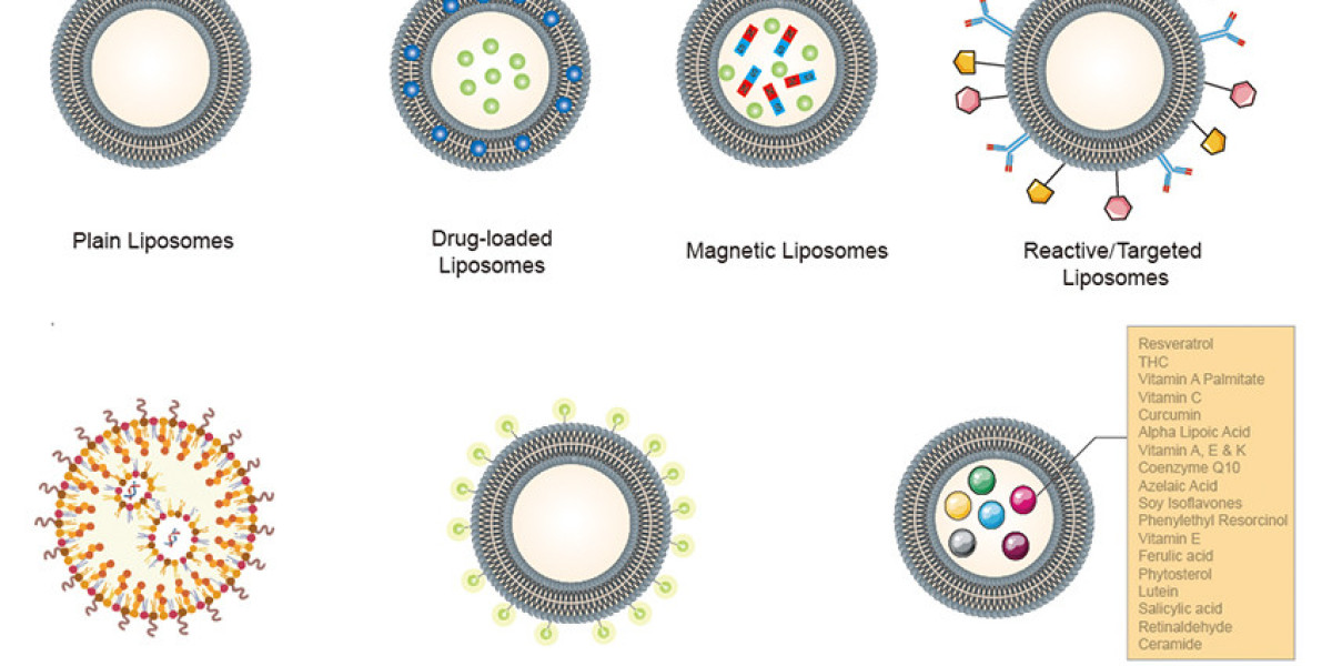 CD Bioparticles Announces New Line of Liposomes for Food Applications