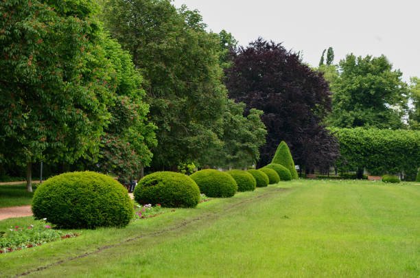 Architecturally designed Landscaping in Clarence NY