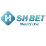 shbetzlive Profile Picture