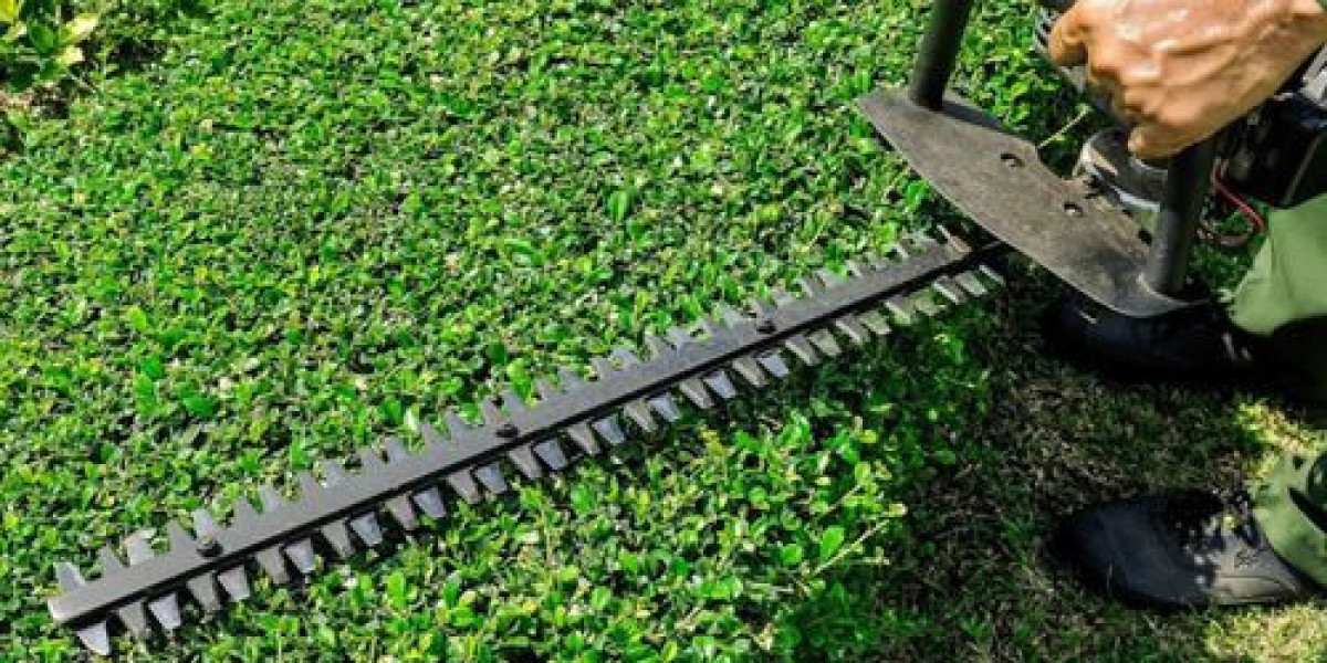 Hedge Cutting Auckland: Expert Gardening Services for Your Outdoor Space