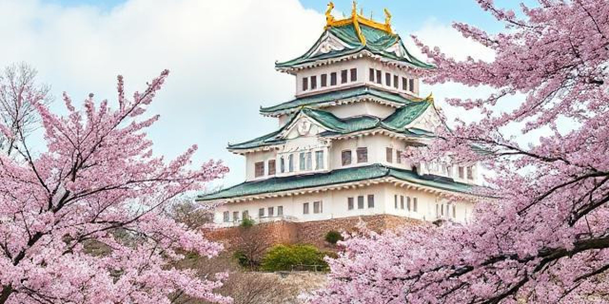 Top Things to Do in Nagoya