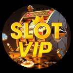 SLOT VIP Profile Picture