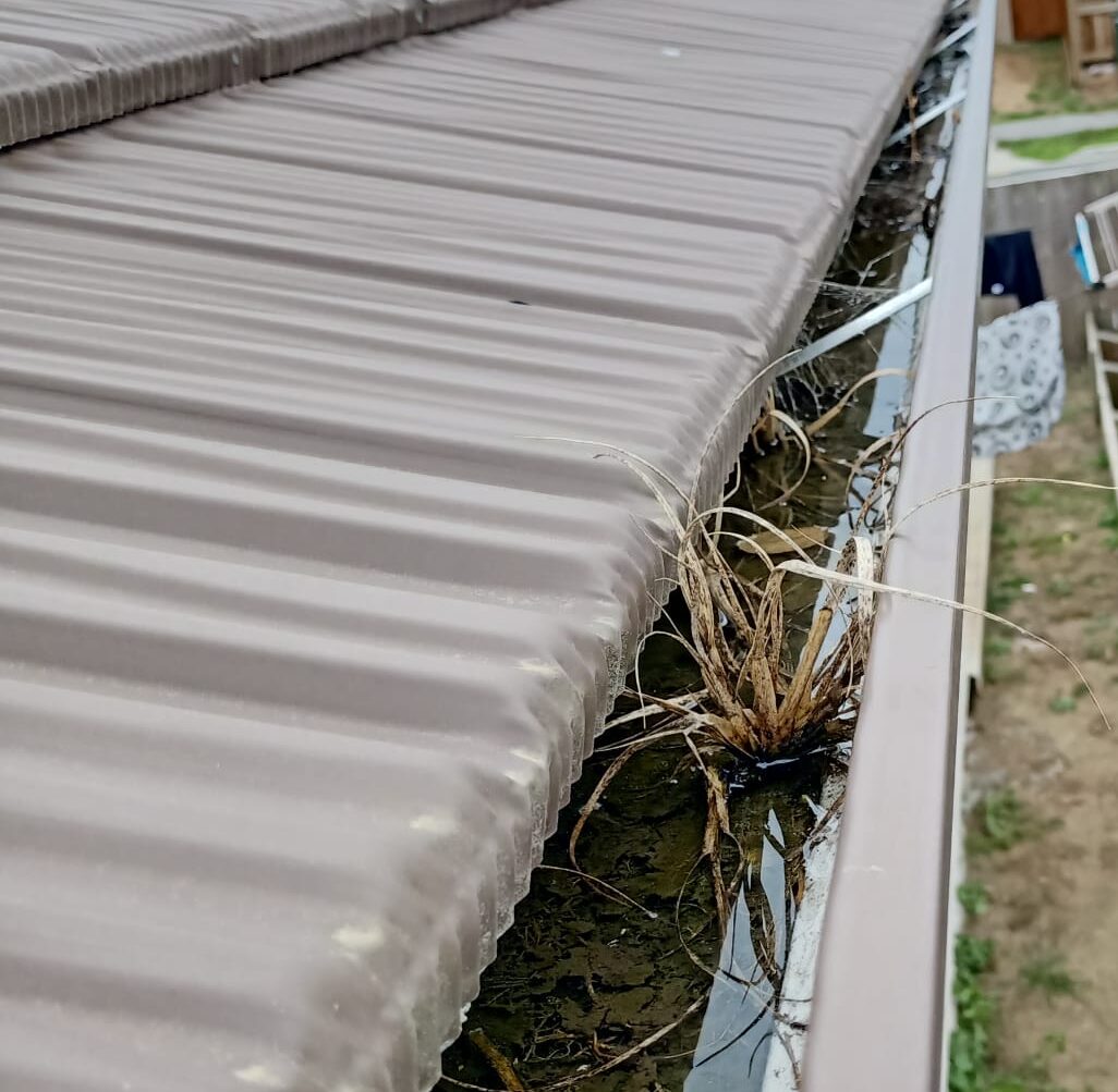 Expert Gutter Cleaning Services in Auckland – South, West, North Shore, Manukau, East