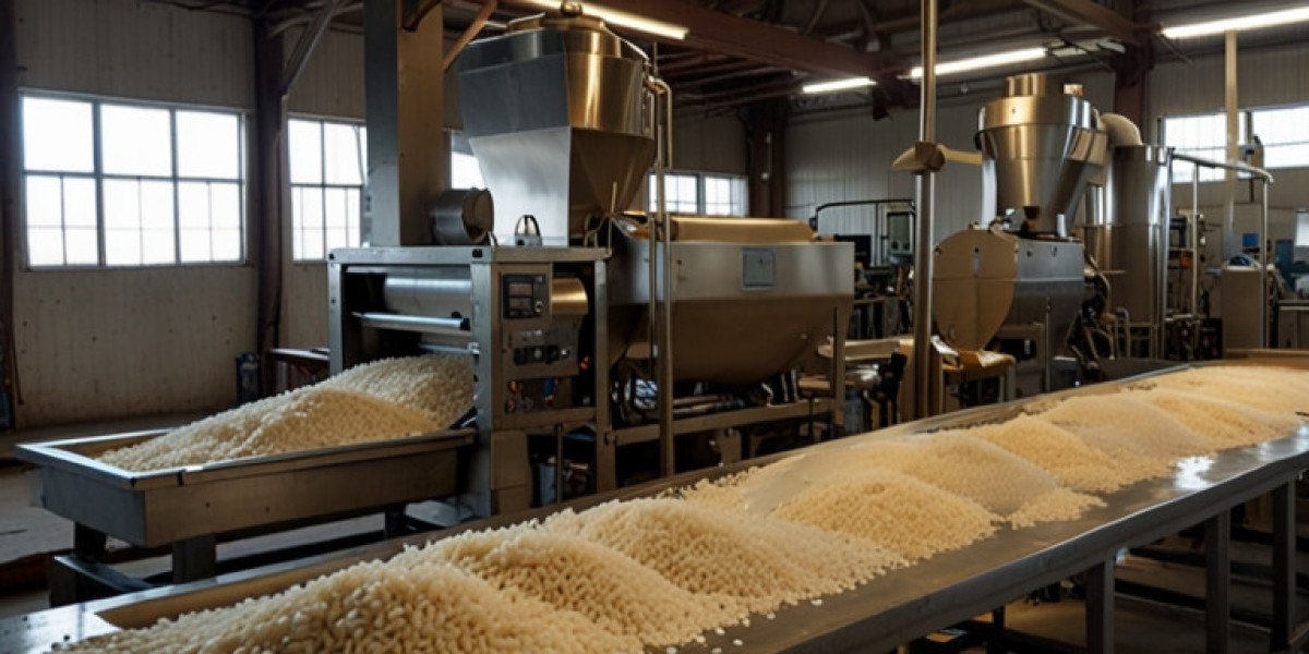 Instant Rice Manufacturing Plant Project Report 2025: Cost Analysis and Raw Material Requirements