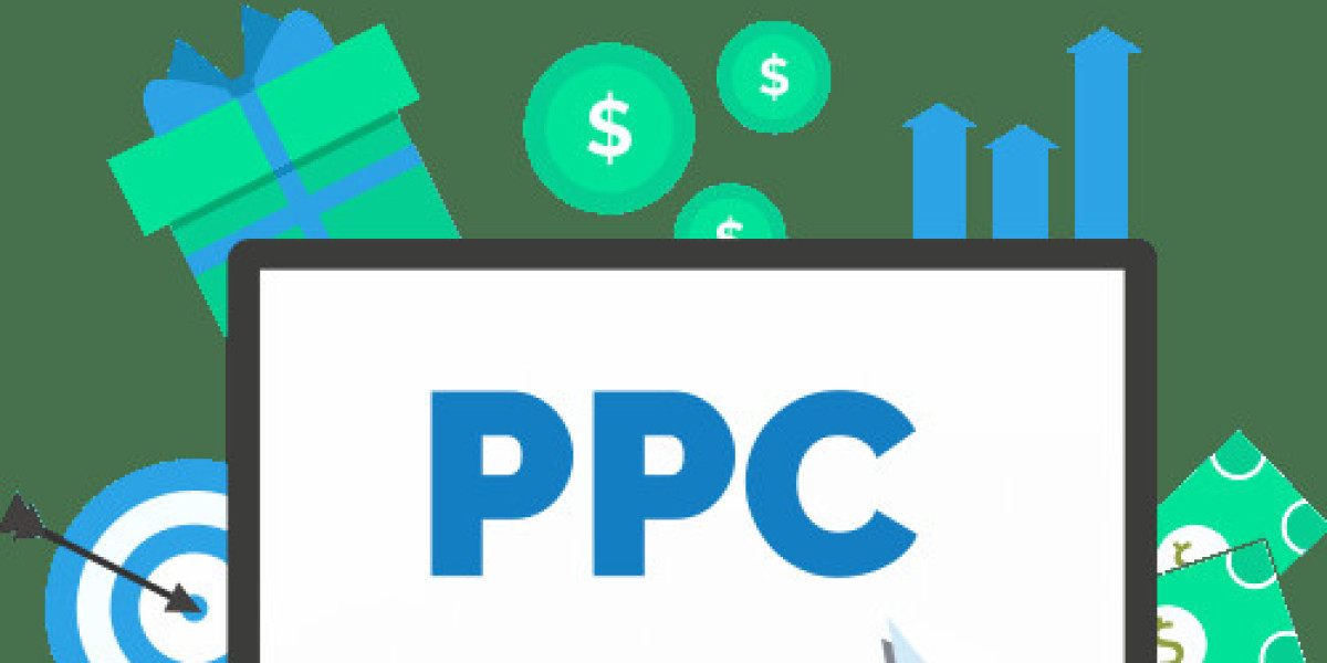 Professional PPC Services in Delhi