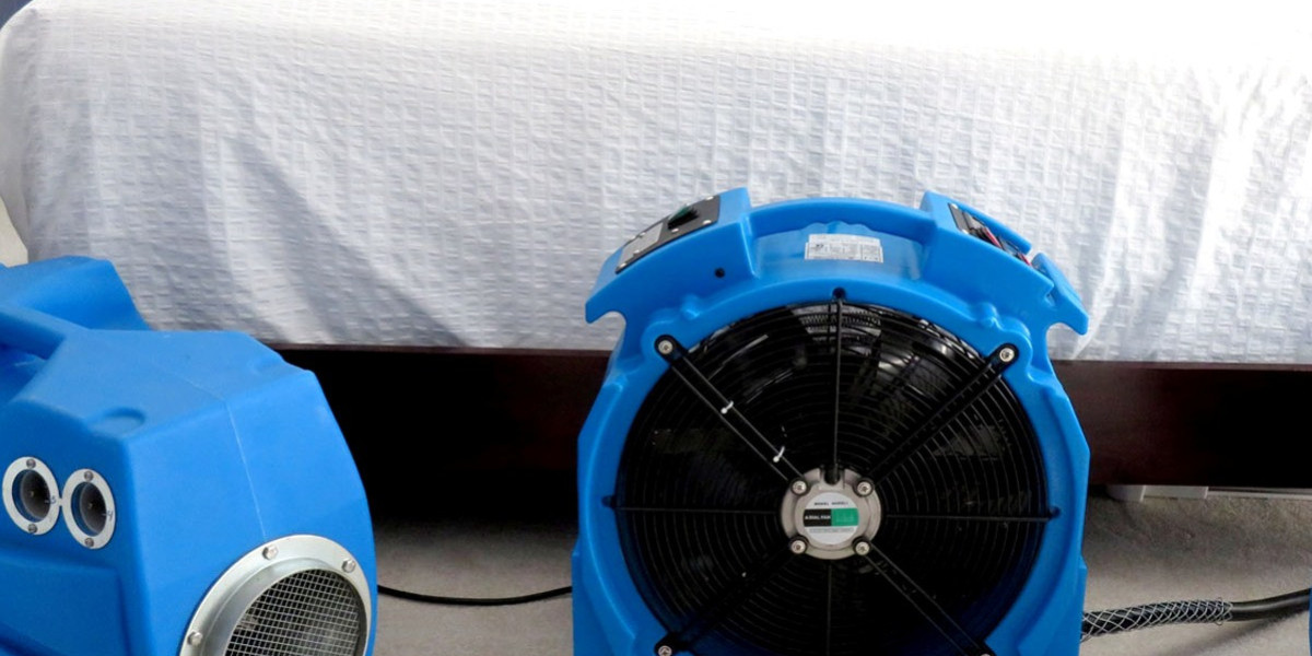 Bed Bug Heater Rental Guide: Step-by-Step Eradication for a Pest-Free Home