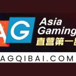 AG 棋牌 Profile Picture