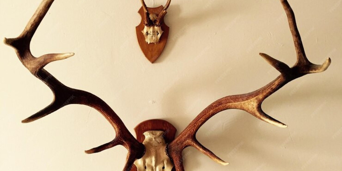 Bringing Nature Indoors: How to Incorporate Deer Antler Wall Decor into Your Home