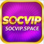 socvipspace Profile Picture