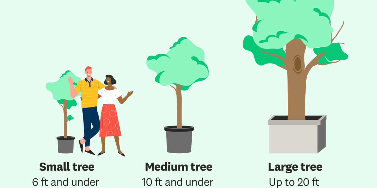 Does Tree Size Affect Removal Costs? A Breakdown by Height & Width