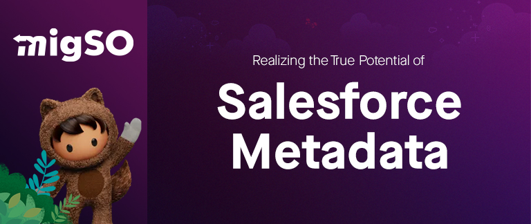 Realizing the True Potential of Salesforce Metadata | migSO