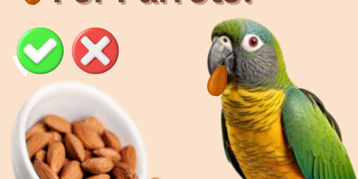 Are Roasted Peanuts Safe For Parrots?