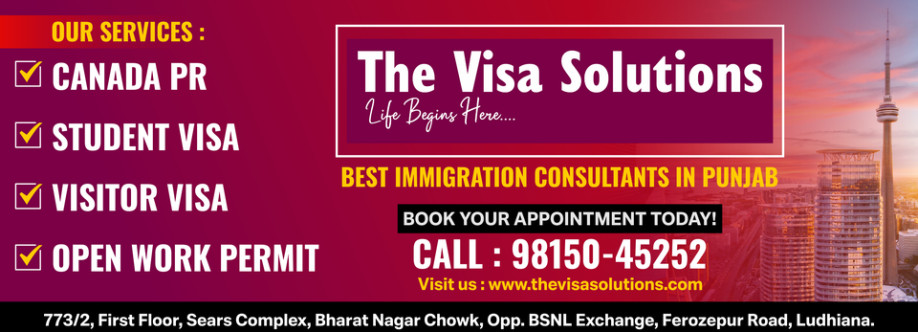 The Visa Solutions Cover Image