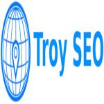 Troyseo Profile Picture