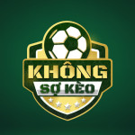 Không Sợ Kèo profile picture