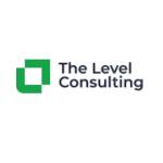 thelevelconsulting Profile Picture