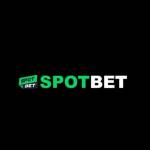 SPOT BET Profile Picture