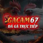 GACAM67 Profile Picture