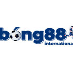 bong88international Profile Picture