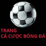 trangcacuocbongdaorg Profile Picture