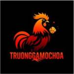 truonggamochoaio profile picture