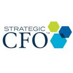 Strategic CFO Profile Picture