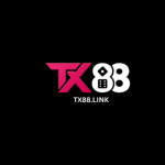 tx88link Profile Picture