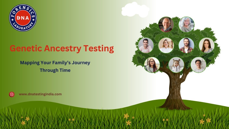 Genetic Ancestry Testing: Mapping Your Family’s Journey Through Time | Times Square Reporter