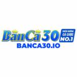 banca30io Profile Picture
